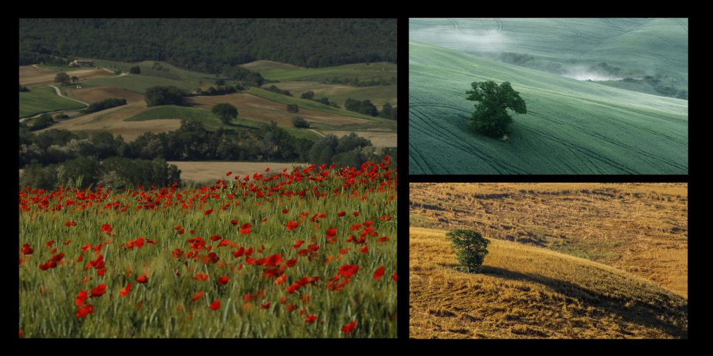 ekris_tuscany_20x20_16